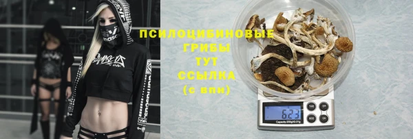 гашик Армянск