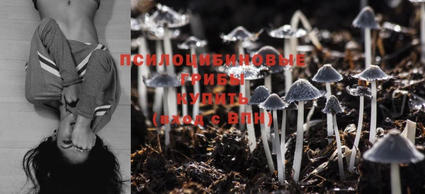 PSILOCYBIN Баксан