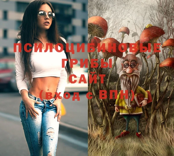 PSILOCYBIN Баксан